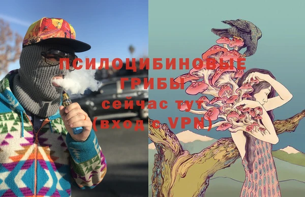 герыч Арсеньев