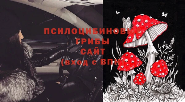 герыч Арсеньев